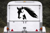 Large Horse Head Vinyl Decal Sticker, Equestrian 4WD Ute Truck Graphic, Horse Float Side Decal 7 Year Vinyl