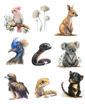 Set of Australian animals - Vehicle sticker decals