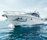 Side boat stripe fish in wave range of colours and sizes available