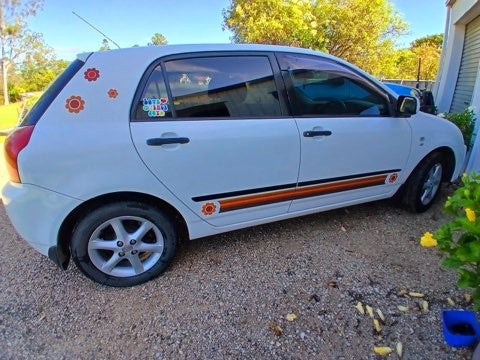 hippy flower and stripes on vehicle retro pinstripe