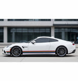 Mega Sticker Store rainbow pride pinstripe decal applied to the side of a white sports car on a concrete surface.