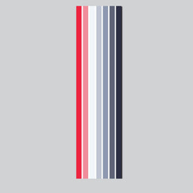 Retro stripe pinstripe vehicle sticker decal van motorhome camper RV red grey blue white