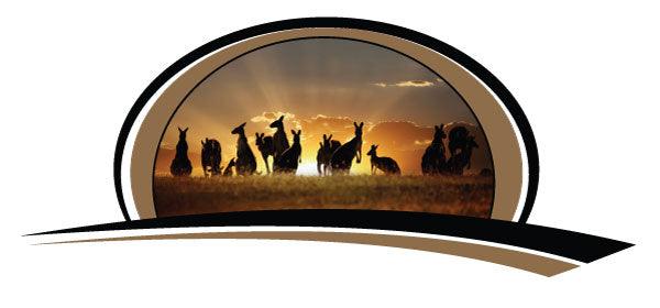 1.2m Kangaroo motorhome sticker decal Australian stripe - Mega Sticker Store