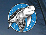 24cm car decal featuring a beautiful turtle with blue background