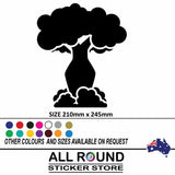 [Best Selling Trending Australian Themed Vehicle Stripes Online]-Mega Sticker Store