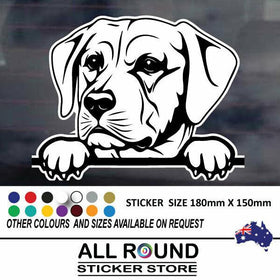 Labrador Dog Sticker sticker popular  car  Sticker DecaJDM bumper sticker Best