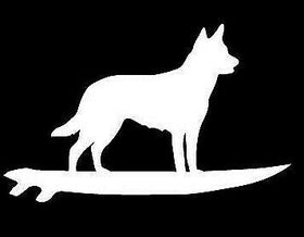 Kelpie on surfboard, dog on board car sticker