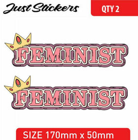 FEMINIST Sticker car sticker , bumper sticker , skate , bike, window, laptop, Cr