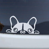 [Best Selling Trending Australian Themed Vehicle Stripes Online]-Mega Sticker Store