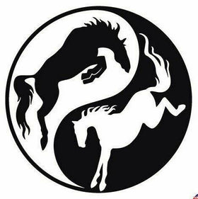 YING YANG HORSE sticker decal for horsefloat, motorhome, vehicle 200mm