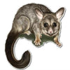 Cute Possum sticker for vehicle, motorhome, truck - Mega Sticker Store