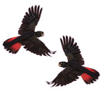 2 x Black Cockatoo 350mm Sticker Decal for Car, Motorhome, Window, Truck, sign - Mega Sticker Store