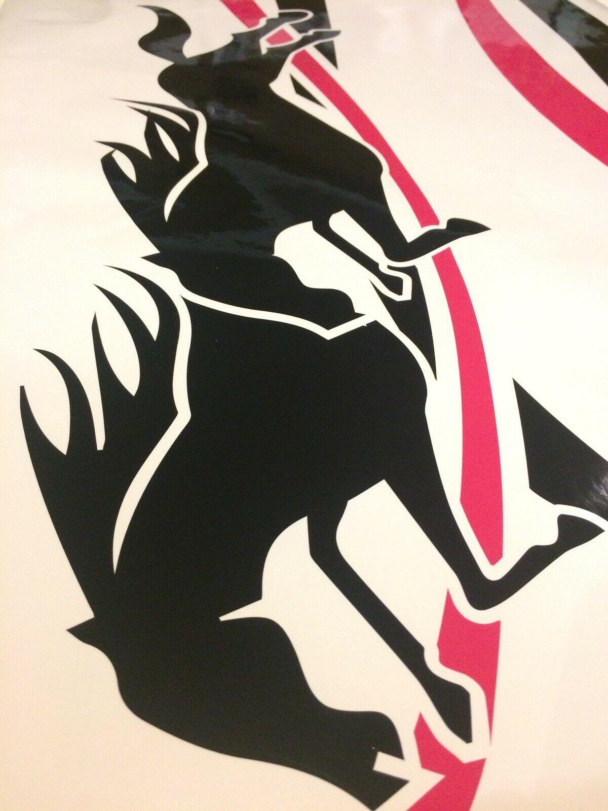 close up horse float side stripe decals with running horse graphic applied to a white horse float.