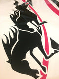 close up horse float side stripe decals with running horse graphic applied to a white horse float.