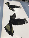 2 x Black Cockatoo yellow tail 350mm Sticker Decal for Car, Motorhome, Window, Truck, sign - Mega Sticker Store