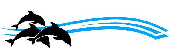 Dolphin Boat Stripes Decals for Caravan RV Motorhome
