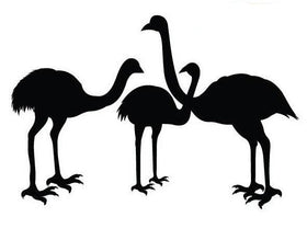 Emu sticker decal