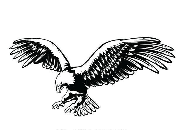 Eagle sticker decal in black and white for vehicle motorhome, wd , car