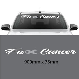 FU Cancer car sticker decal windscreen cancer ribbon grey, pink or blue