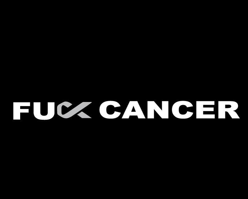 FU Cancer car sticker decal windscreen cancer ribbon grey, pink or blue - Mega Sticker Store