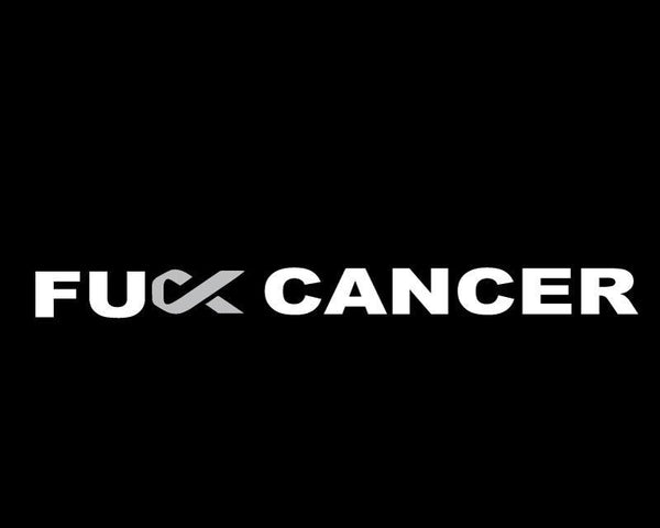 FU Cancer car sticker decal windscreen cancer ribbon grey, pink or blue - Mega Sticker Store