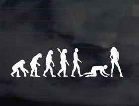 Funny Evolution Sexy Girl Decal Sticker