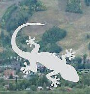 GECKO FROSTED WINDOW  OR GLASS  STICKER