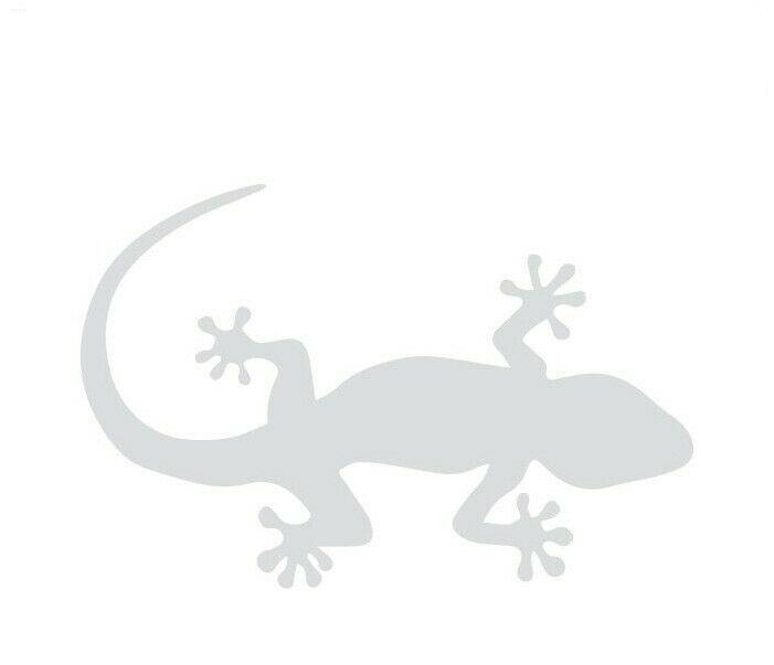 etched window sticker gecko frosted look