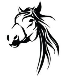 Horse head decal for horsefloat trailer