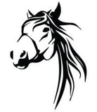 Horse head decal for horsefloat trailer