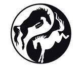 [Best Selling Trending Australian Themed Vehicle Stripes Online]-Mega Sticker Store