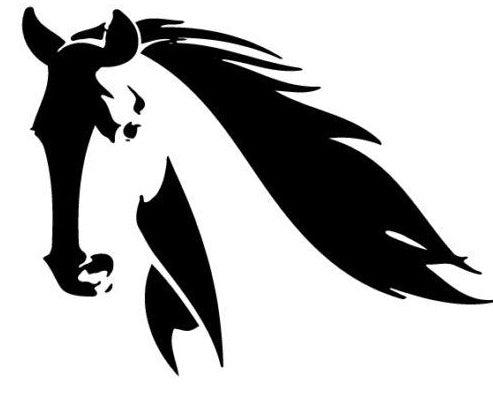 Large Horse Head Vinyl Decal Sticker, Equestrian 4WD Ute Truck Graphic, Horse Float Side Decal 7 Year Vinyl