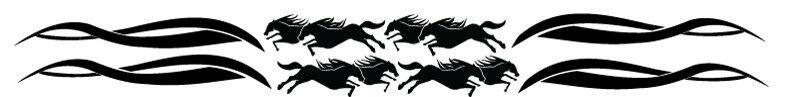 Popular Horse float stripe for trailer stickers  4m wideSticker Store
