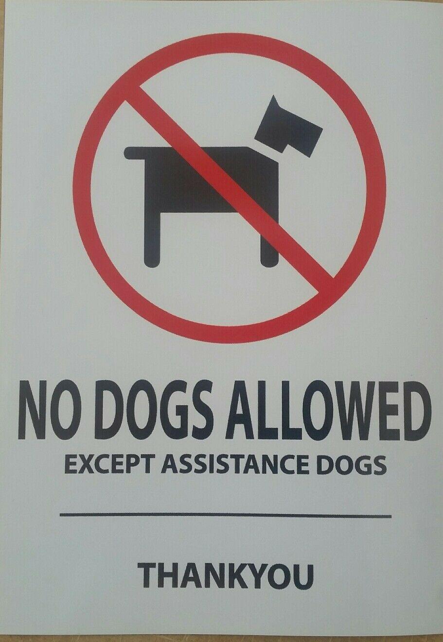 QTY 2  sticker decals No dogs allowed except assistance dogs sticker sign Sticker Store