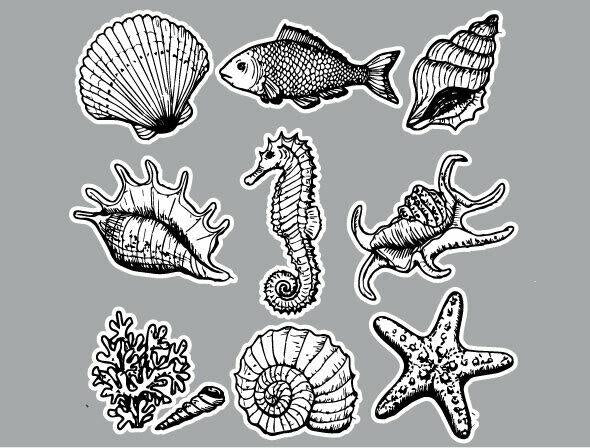 Sea Horse and Sea Shell Sticker Set, Nautical Vinyl Car Bumper Stickers Pack