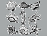 Sea Horse and Sea Shell Sticker Set, Nautical Vinyl Car Bumper Stickers Pack