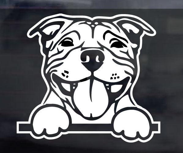 [Best Selling Trending Australian Themed Vehicle Stripes Online]-Mega Sticker Store