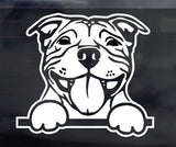[Best Selling Trending Australian Themed Vehicle Stripes Online]-Mega Sticker Store