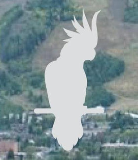 Cockatoo , frosted window sticker