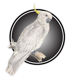 White Cockatoo Sticker Decal for Car, Motorhome, Window, Truck, sign